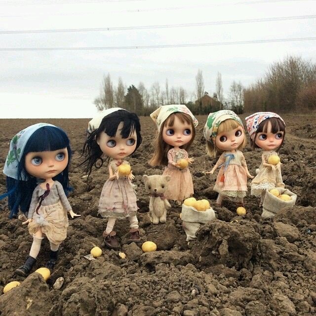 Блайз... А все-таки все они живые (фото 3)