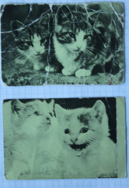 Моя коллекция календариков:) | Бэйбики Моя коллекция календариков:)