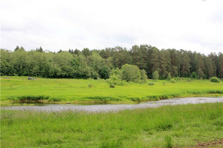 Троицкие гуляния у деревни Василёво, часть вторая. Архитектурно-этнографический музей под открытым небом "Василёво"