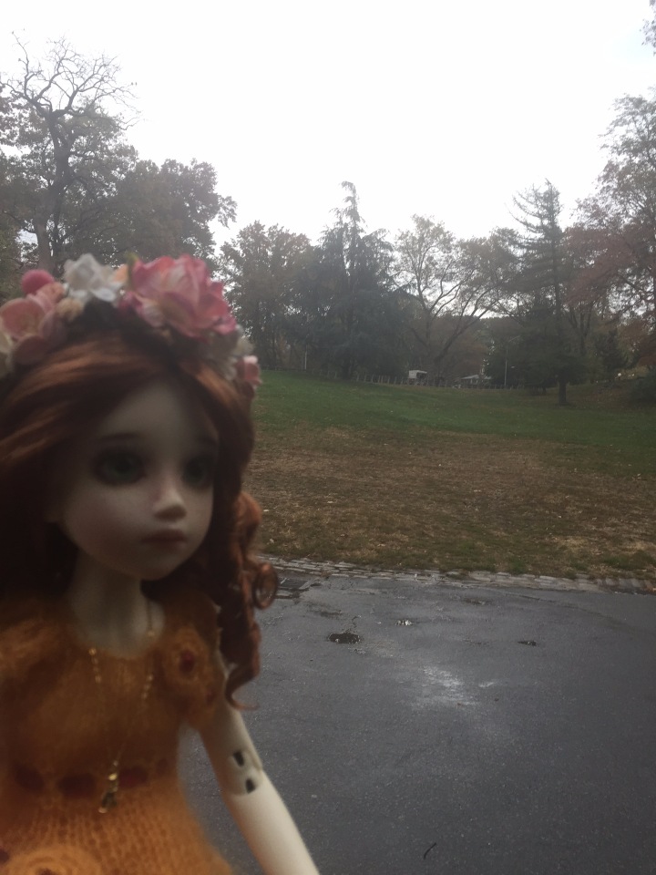 Луна гуляет в Центральном Парке в Манхаттане