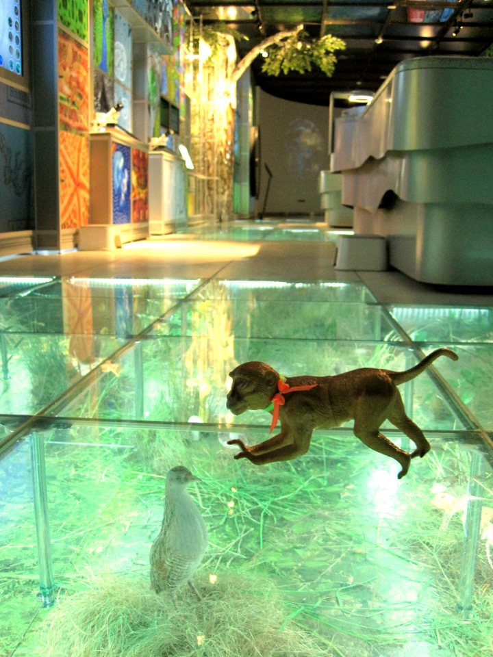 День в музее. Анжела в Государственном Дарвиновском музее