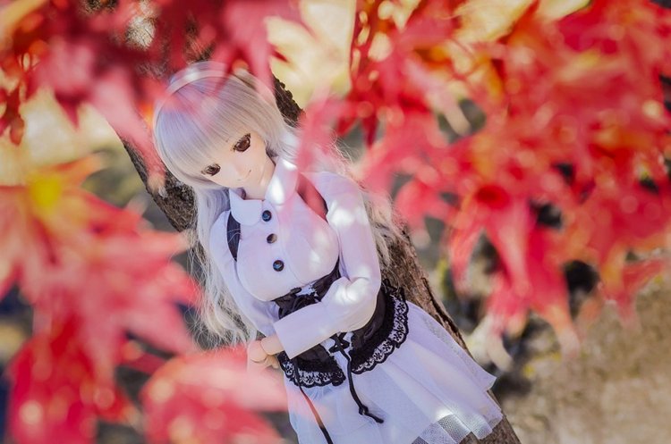 Красивые волшебные фотографии кукол от Azure Япония