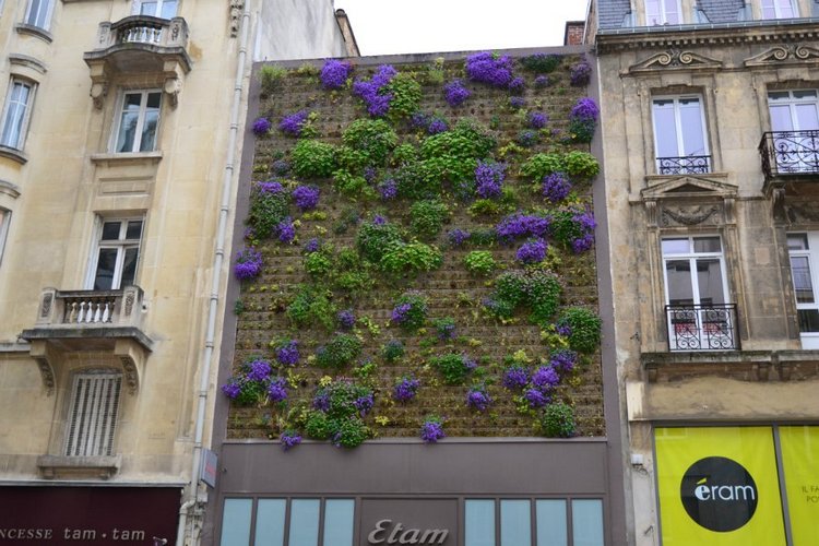 Очарование стринных французских городов (фото 2)