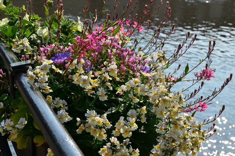 Очарование стринных французских городов