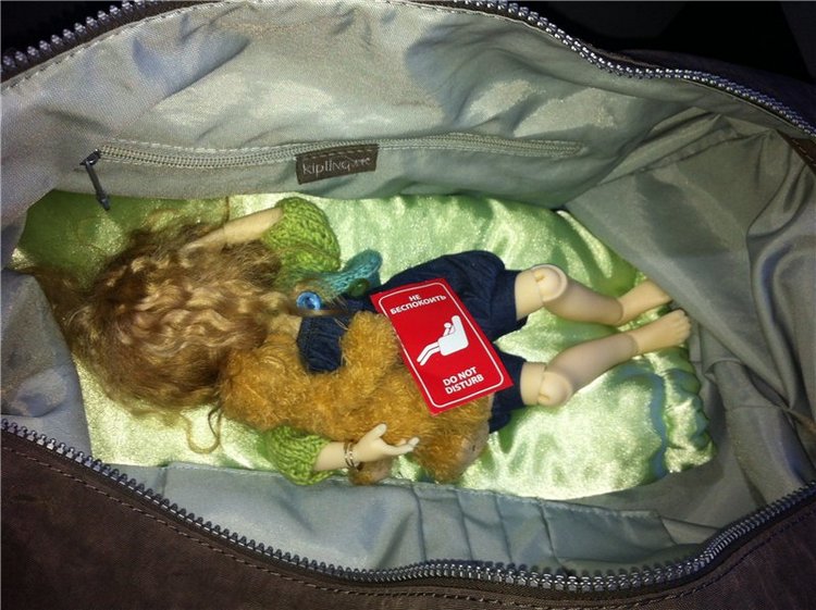 Большое путешествие маленькой девочки. Kaye Wiggs, Nutmeg (фото 4)