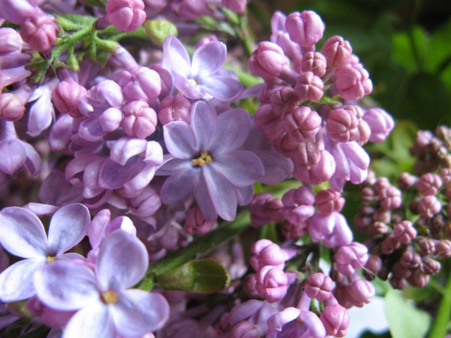 Новый наряд для Карлы | Бэйбики Новый наряд для Карлы — Одежда и обувь для кукол своими руками: фото