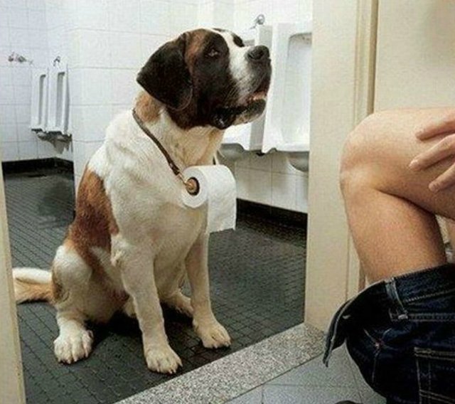 Понедельник - день тяжёлый | Бэйбики Понедельник - день тяжёлый