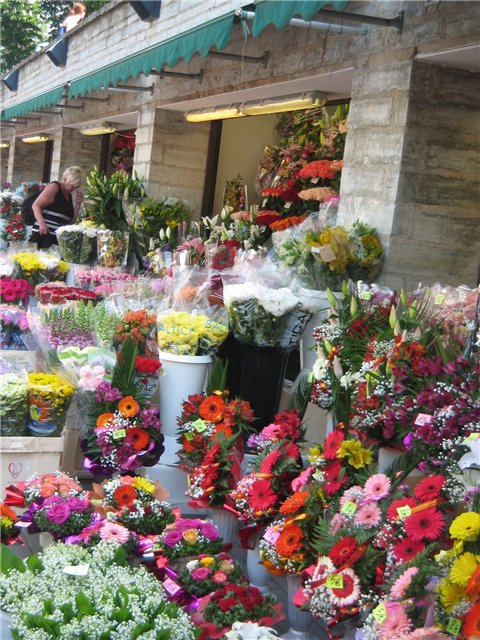 Средневековый Таллинн-город живой истории (фото 6)