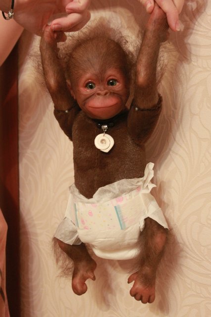 Бонька, обезьянка реборн Элины Кудрявцевой