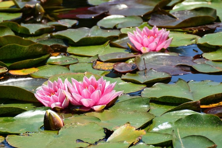 Ницца, Марсель, море и горы