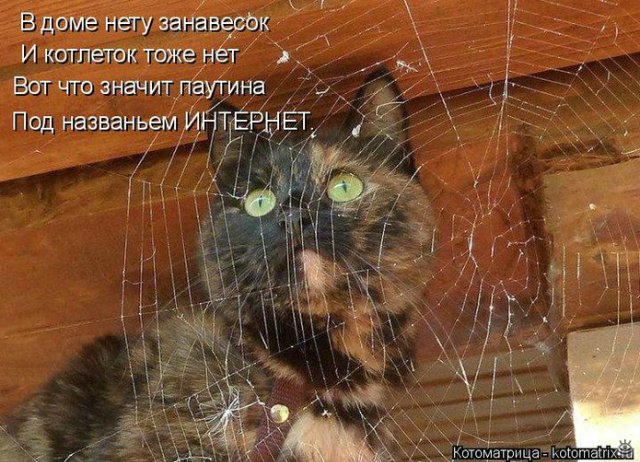 Просто добавь улыбку или пятничный девиз