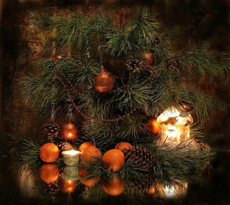 Чудесные новогодние натюрморты (фото 3)