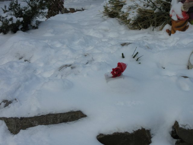 Чем бы заняться юному лорду 30 декабря