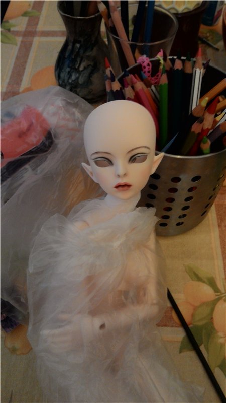 Новый облик Фелис — Куклы Doll Leaves (Долл Ливз): BJD (БЖД) (фото 2)