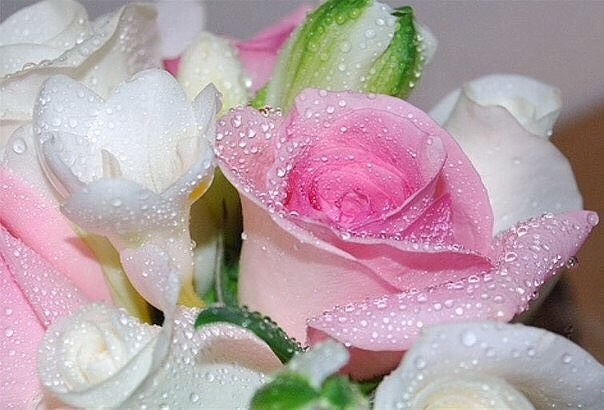 Вот какая классная Клэр от Дианны Эффнер