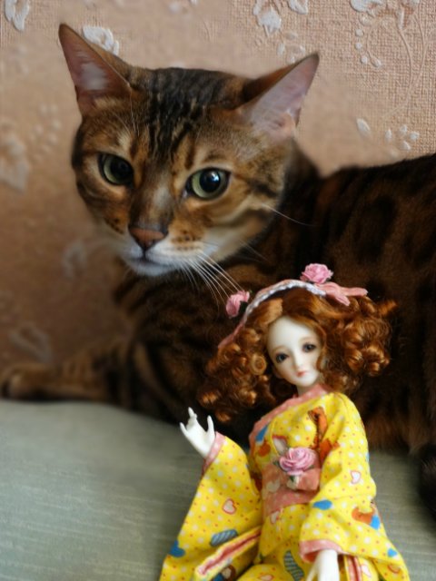 Метелька и её новый друг | Бэйбики Метелька и её новый друг — Куклы Souldoll (Соулдолл): BJD (БЖД) (фото 4)