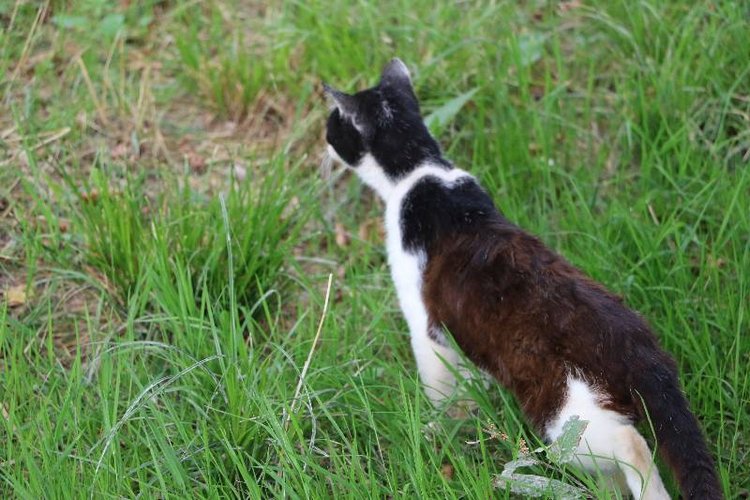 Те, кто нас любит и в домашнем халате, и без косметики, и растрепанными | Бэйбики Те, кто нас любит и в домашнем халате, и без косметики, и растрепанными