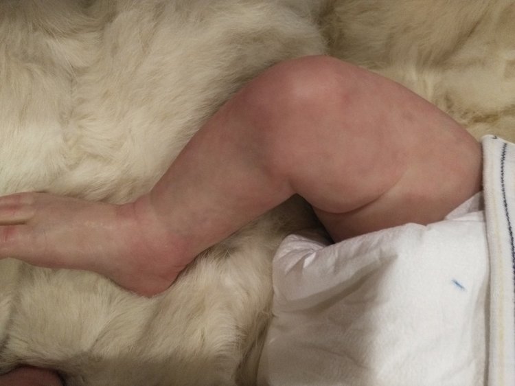 Егорушка, добавлены новые фотографии