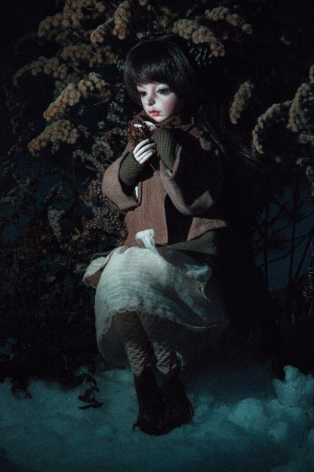 Спонтанная прогулка — Куклы Dollzone (Доллзон): BJD (БЖД) (фото 6)