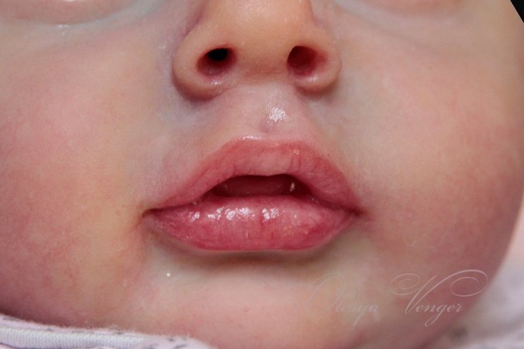 Моя Хлоя, мой любознательный Совенок, кукла реборн Олеси Венгер