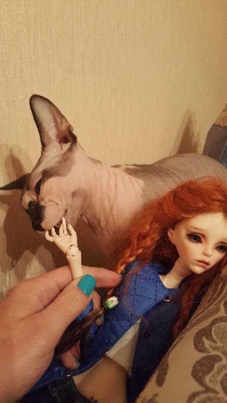 Случайная любовь в преддверии праздника (фото 8)