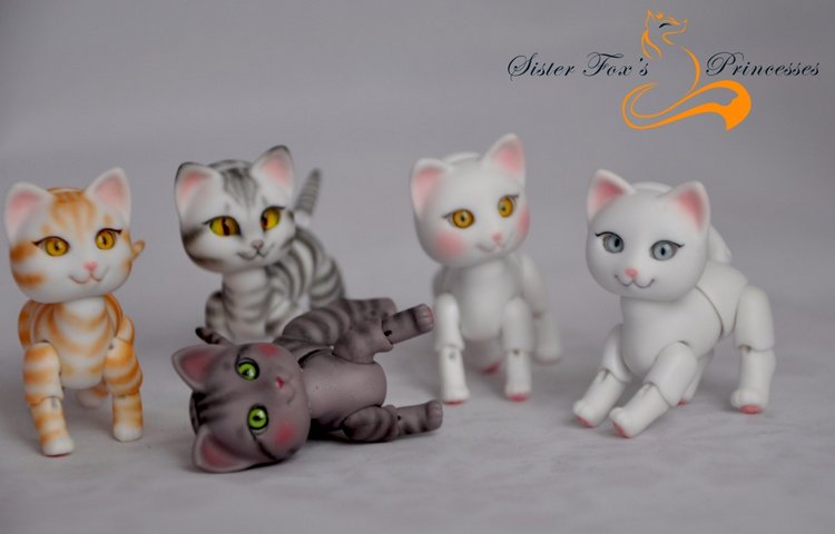 Объявляю предзаказ на котят