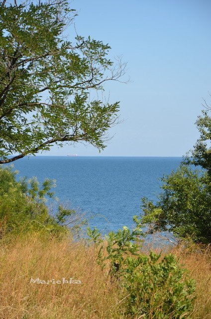 Ассоль-ки. Куколка Ann Estelle от Tonner (фото 2)