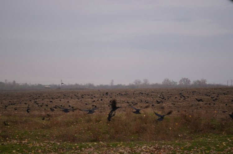 Моя поездка на выставку "VI Международный салон Модна лялька" Киев | Бэйбики Моя поездка на выставку "VI Международный салон Модна лялька" Киев