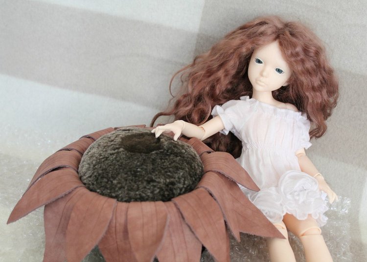 Алиса из страны Иплхауз. Lisa, Iplehouse (фото 6)