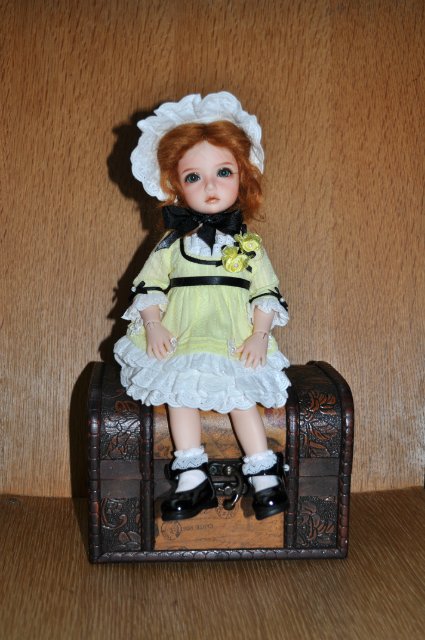 Очарование Элин — Куклы Iplehouse (Иплхаус): BJD (БЖД) (фото 5)