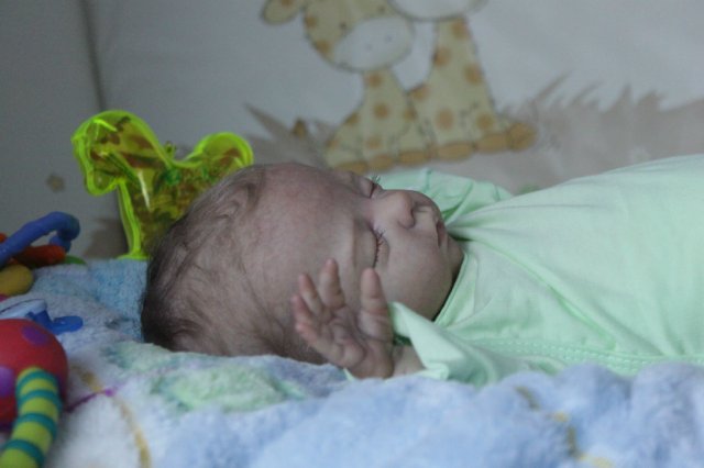 Мальчик лимончик... Маизик Вишни Виктории (фото 6)