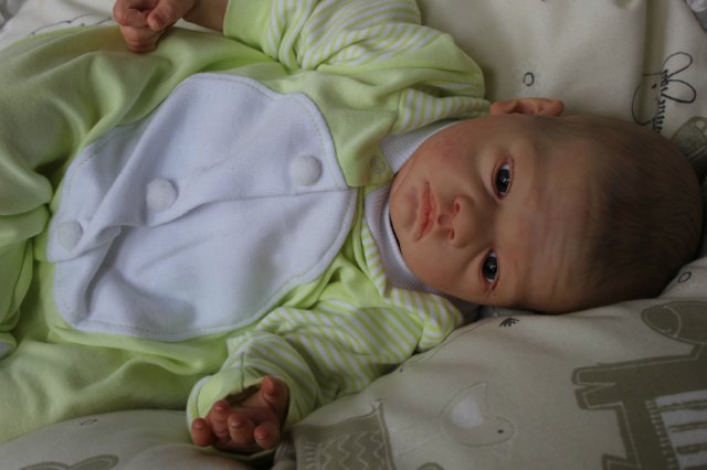 Зайка Патрик. Кукла реборн Катерины Осиповой-Коняевой