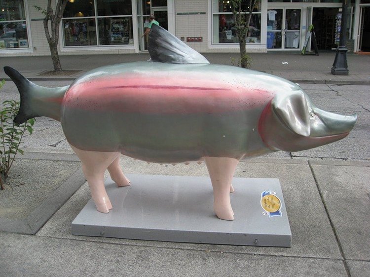 Сиэтл. Такие забавные свинки (фото 5)