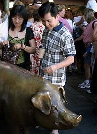 Сиэтл. Такие забавные свинки (фото 7)