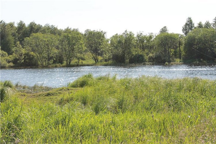 Знакомьтесь - Фенечка! Реалпуки Сосо от Fairyland (фото 10)