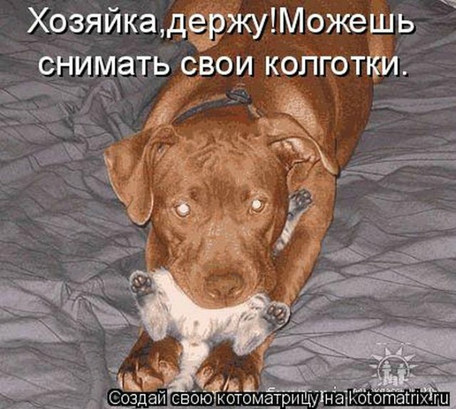 Понедельник - день тяжёлый | Бэйбики Понедельник - день тяжёлый