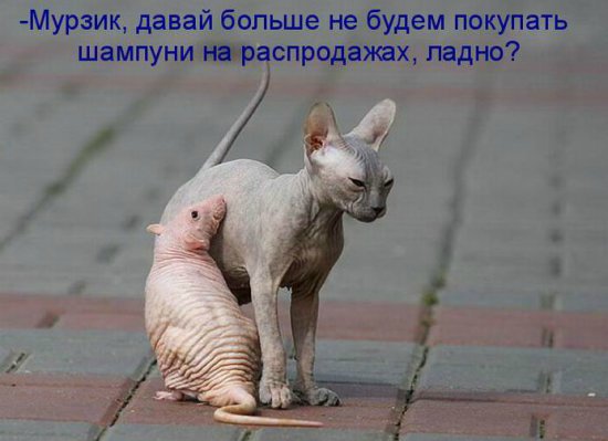 Море позитива) Для поднятия настроения (осторожно! много фото)))) | Бэйбики Море позитива) Для поднятия настроения (осторожно! много фото))))