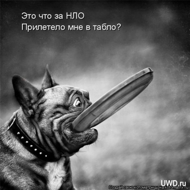 Понедельник - день тяжёлый | Бэйбики Понедельник - день тяжёлый