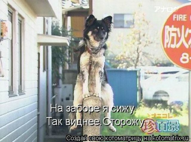 Понедельник - день тяжёлый | Бэйбики Понедельник - день тяжёлый