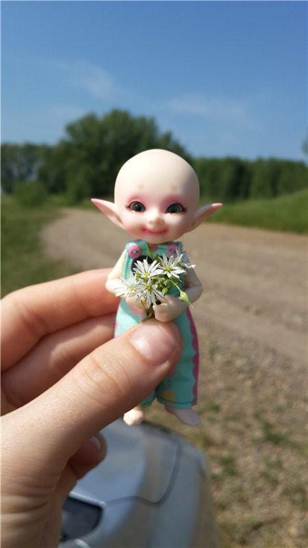 Мечты обязательно должны сбываться,главное в них верить!!! Реалпуки (Realpuki) Сосо - Ягодка (фото 3)