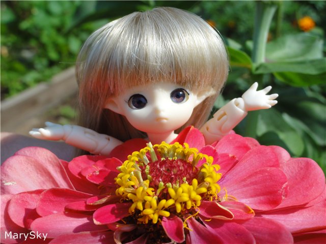 Хочу красивое платьице!!! Часть 1 (фото 8)