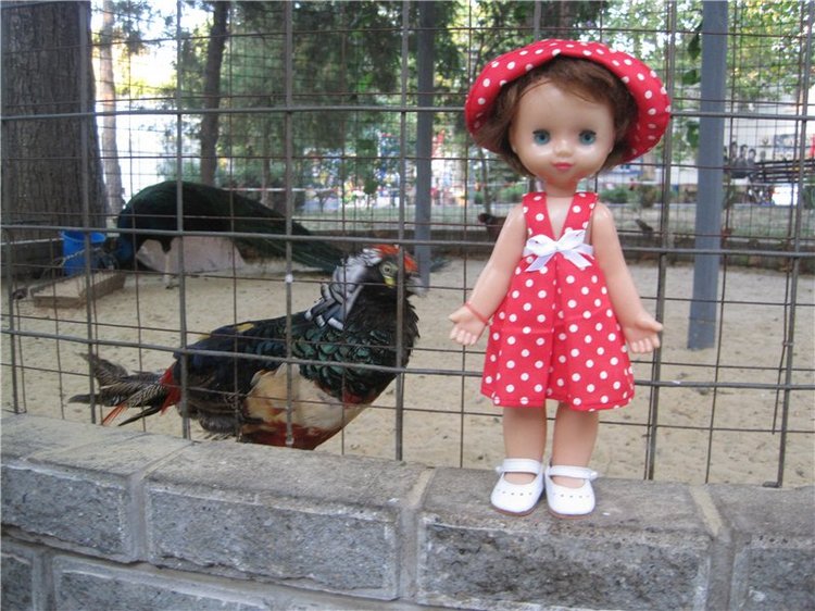 Галчонок и лето. Винтажна куколка СССР Галя