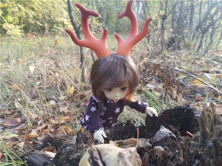Осенний олененок — Куклы Fairyland (ФэйриЛэнд): BJD (БЖД)