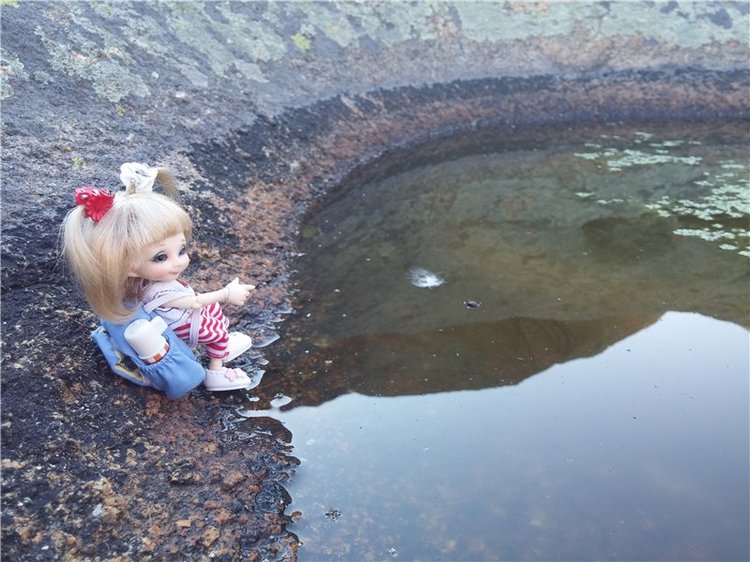 Сибинские озера. Фросенька-эльф высокогорный. ReaiPuki Pupu