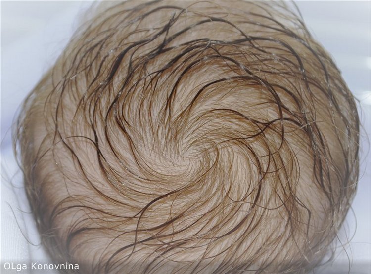 Серенити, скульптор Laura Lee Eagles, малявочка реборн от Ольги Коновниной