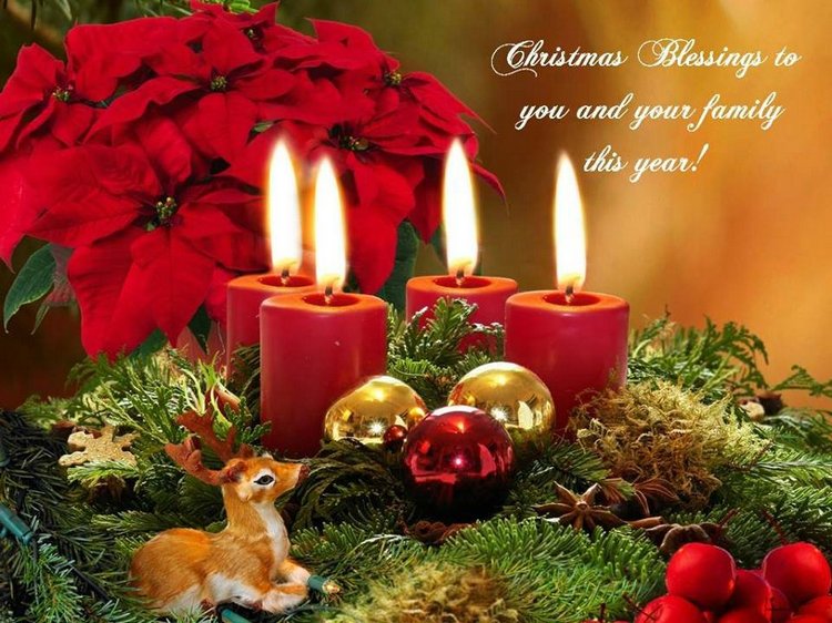 Чудесные новогодние натюрморты