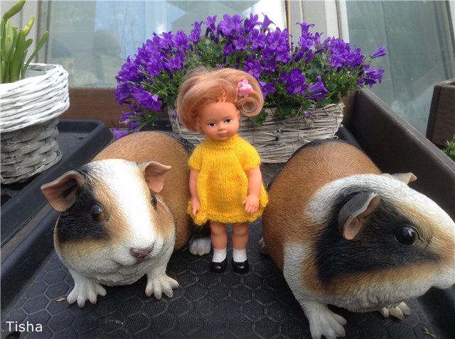 Маленькие садовники или весна в Аптекарском огороде (фото 7)