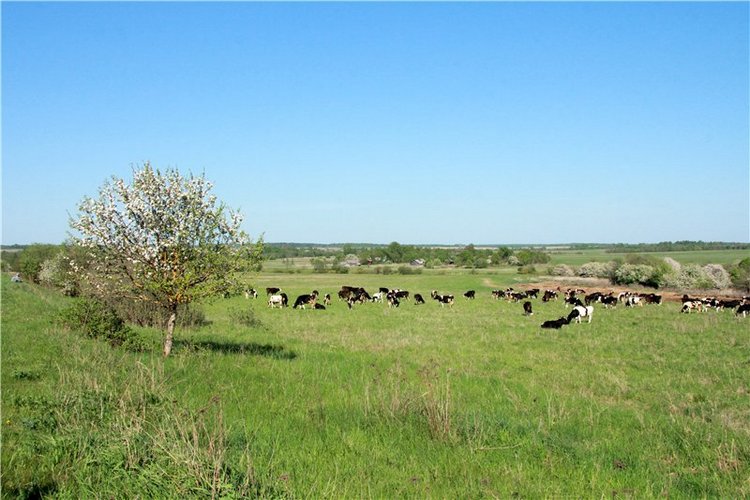 Субботний вояж. Заключительная часть