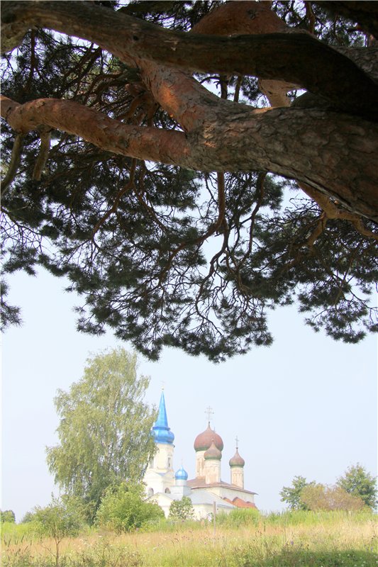 Иваниши. Храм Успения Пресвятой Богородицы (фото 3)