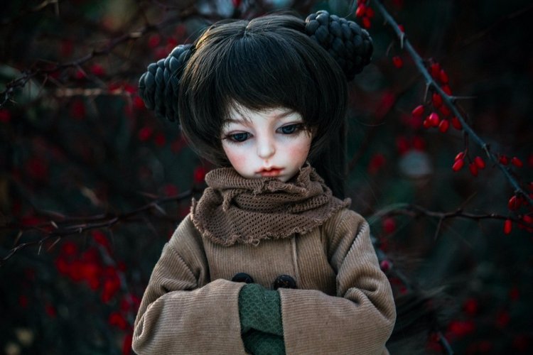 Спонтанная прогулка — Куклы Dollzone (Доллзон): BJD (БЖД) (фото 4)